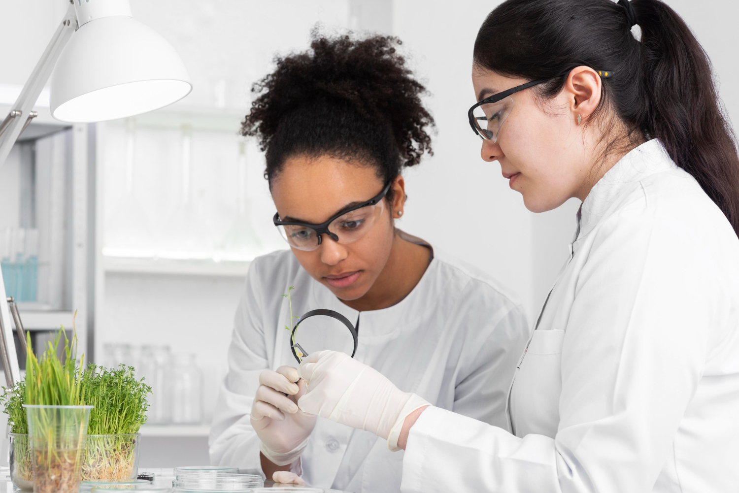 Jovem aluna em um laboratório de faculdade com sua professora, utilizando uma lupa para analisar uma pequena planta, por meio de métodos científicos.