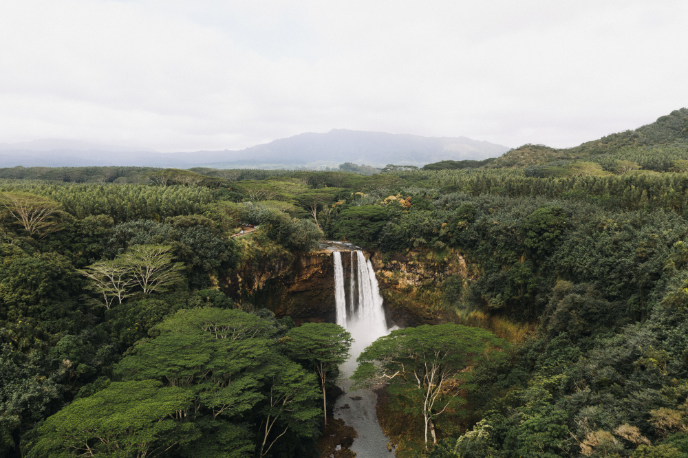 Imagem aérea de uma cachoeira em meio a mata fechada, representando um dos ecossistemas brasileiros.