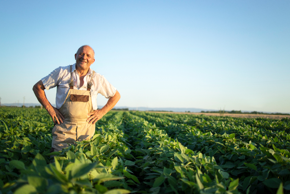 Fazendeiro em meio a suas plantações representando a agricultura, uma das atividades-econômicas primárias
